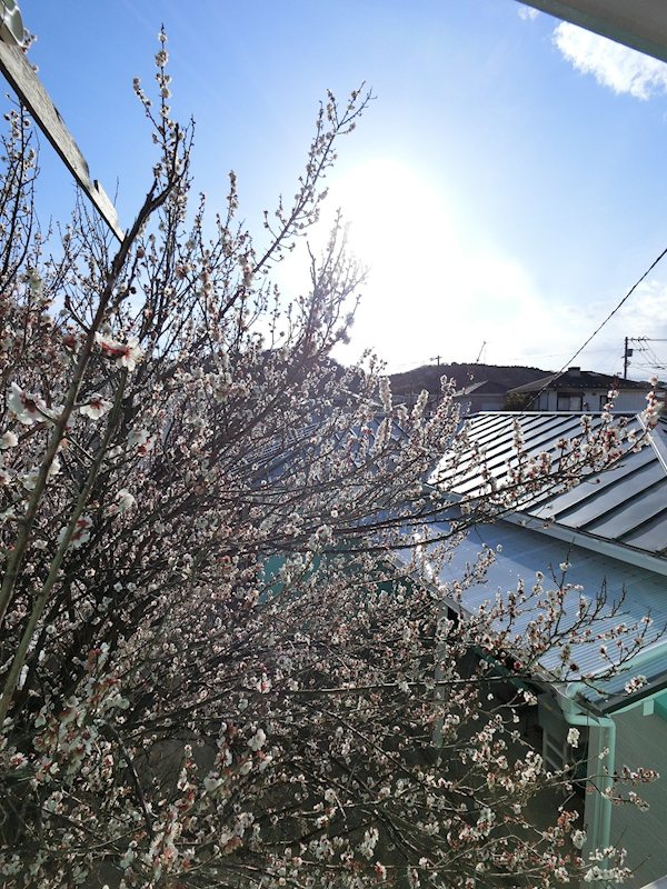 サンヨーＡ その他2