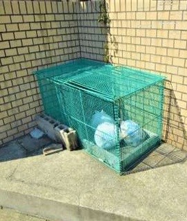 リベルタ北久里浜 その他外観2