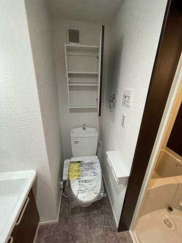 ベイルーム県立大学Ⅱ その他3