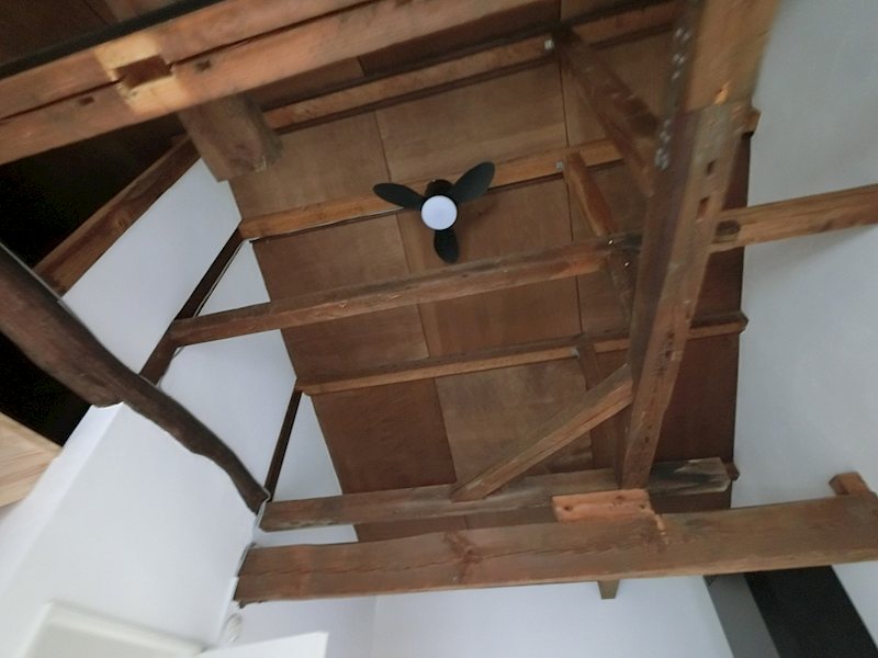 kinugasa terrace  その他19