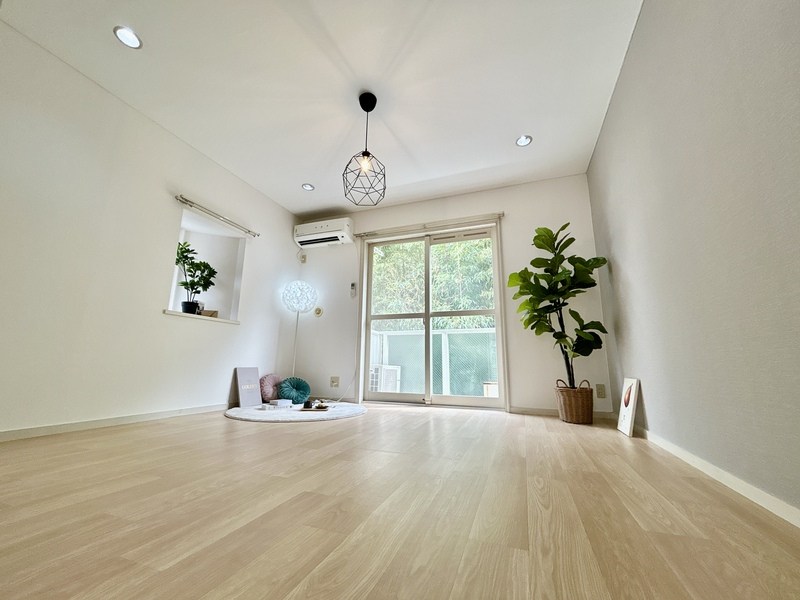 ドエルカネカ  リビング