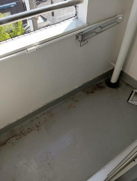 トップ衣笠第5 ベランダ