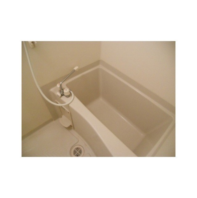 アムール グリーンヒルⅠ 風呂画像