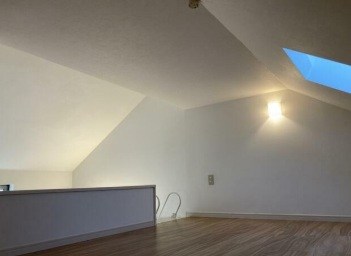コリネス その他8