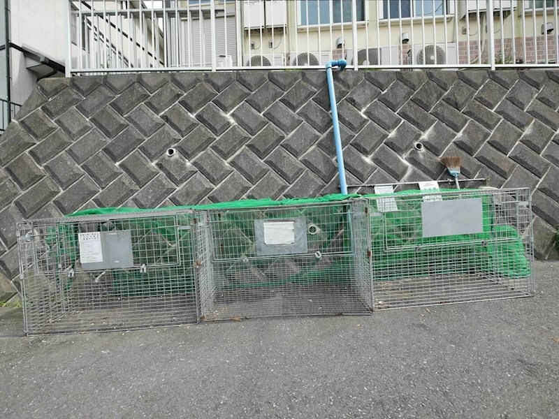 ユナイト横須賀グレゴリーの杜 その他外観3