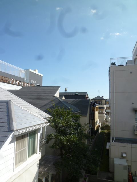 ラディーチェ中延 眺望