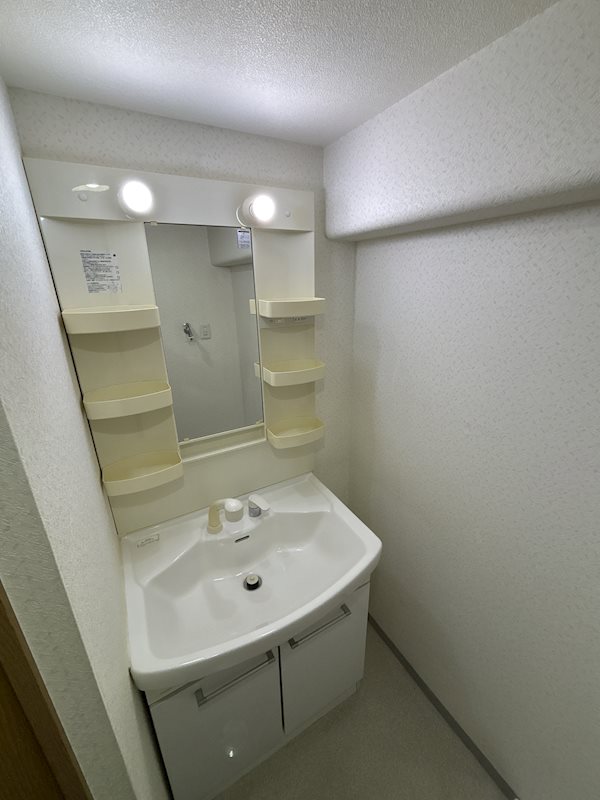 レジデンスイケダ 洗面所