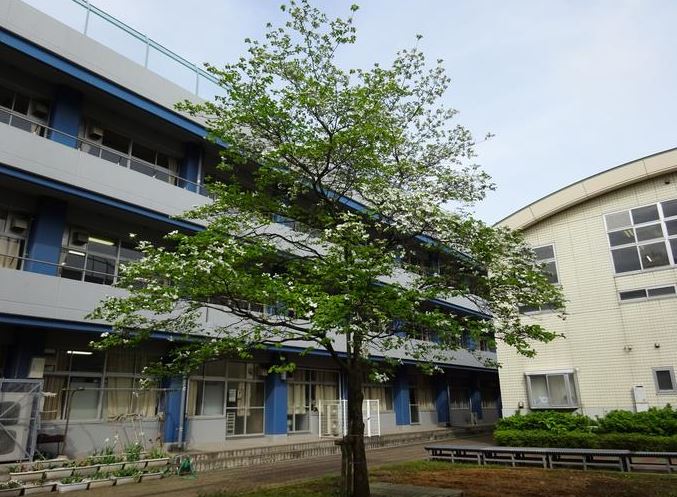 スカイハイツ 中学校