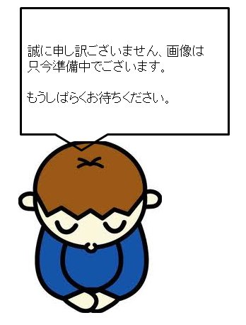 ヴィラロッソ  リビング