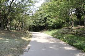 東京都練馬区北町８丁目 公園