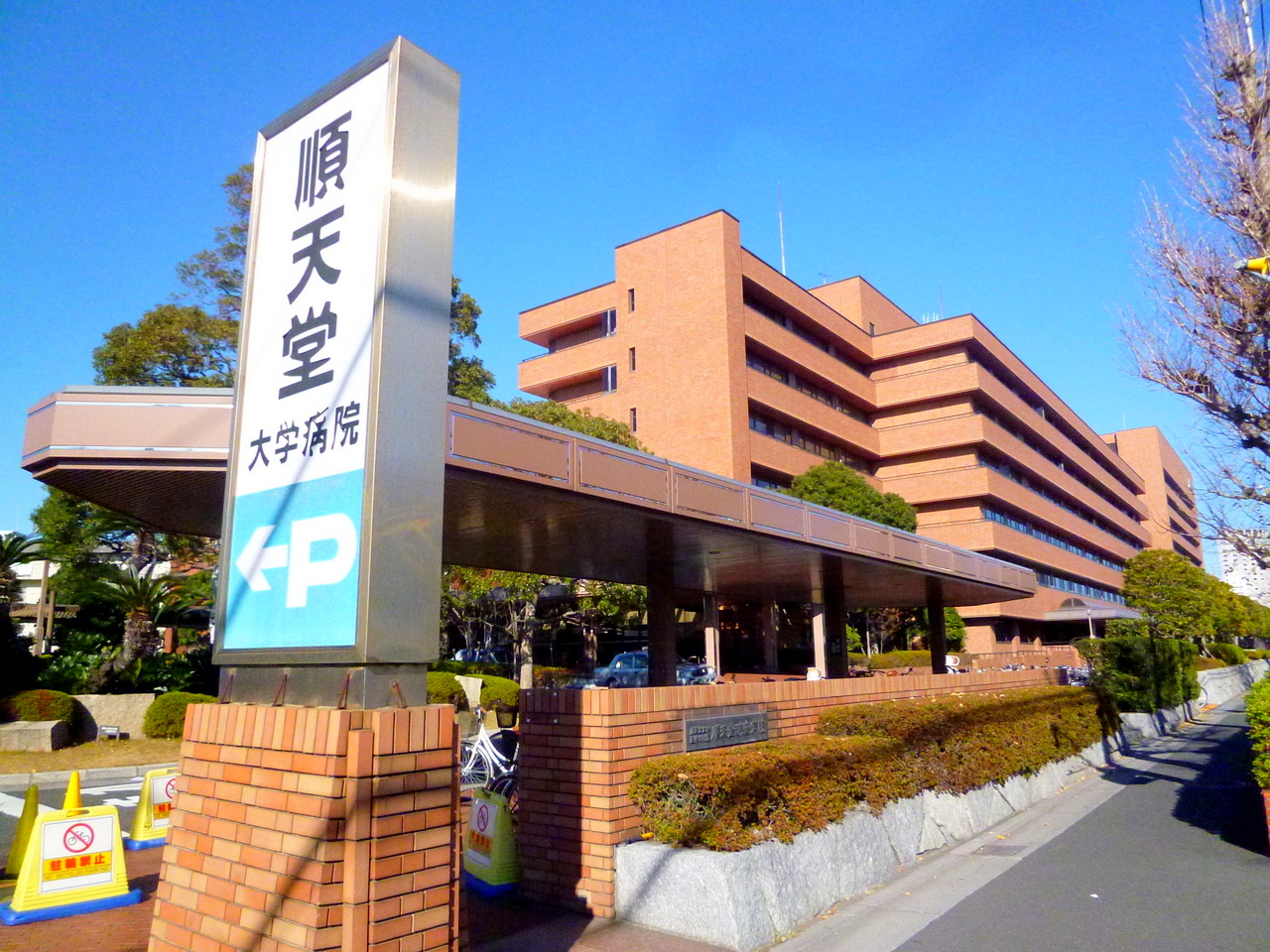 Orso Rio ＜オルソ リオ＞  総合病院