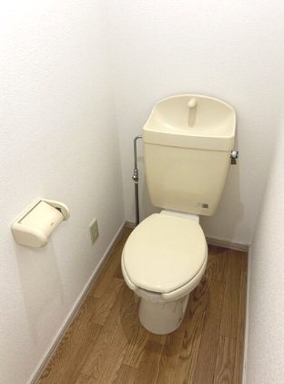 ロイヤル六番 トイレ