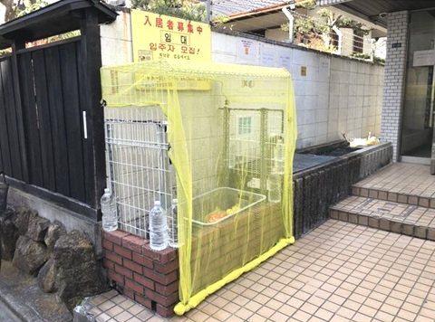 シャトー栄 その他