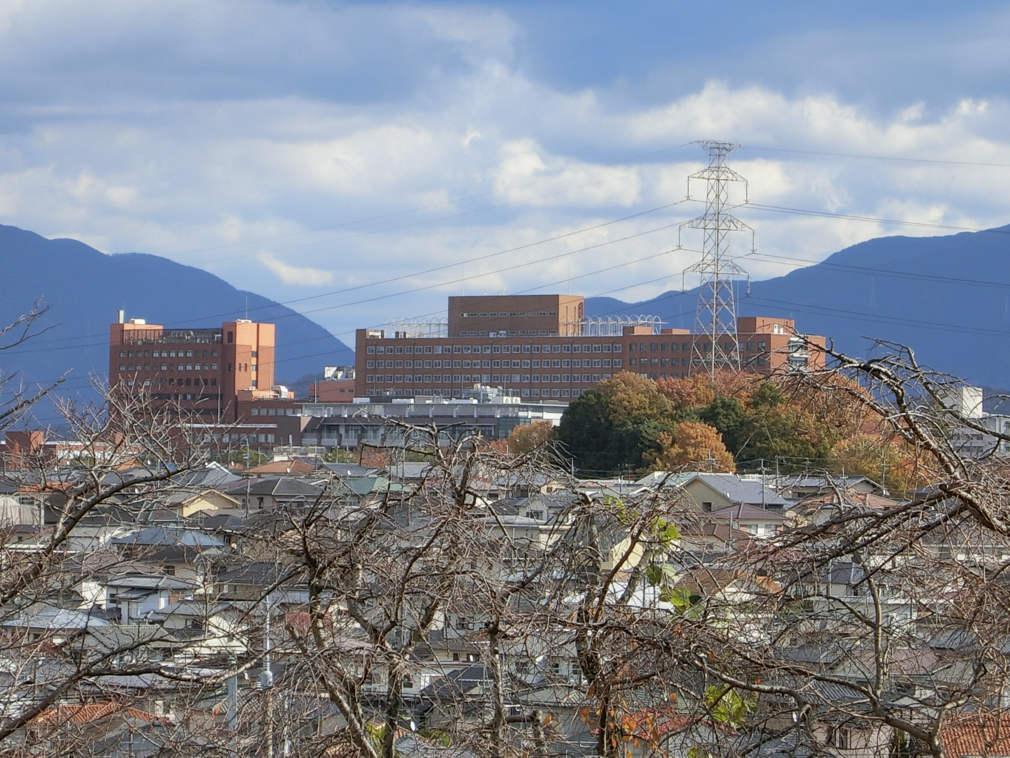 ヴィラナリー狭山　８号棟 周辺画像4