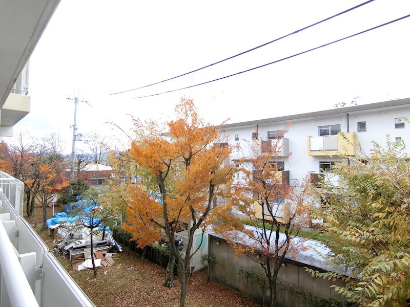 ヴィラナリー狭山　１４号棟 その他5