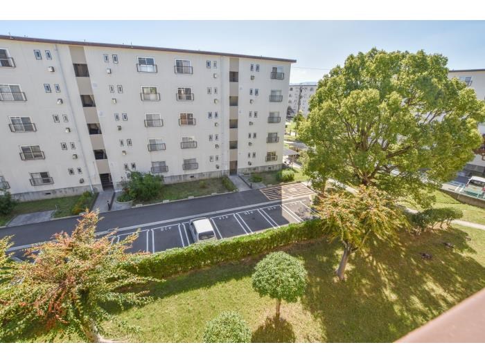 ＵＲ金剛団地　319号棟 その他4