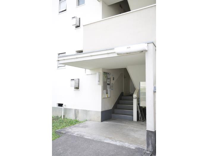 ＵＲ金剛団地　319号棟 その他外観2