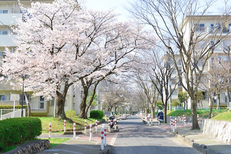 ＵＲ金剛団地　347号棟 その他外観3