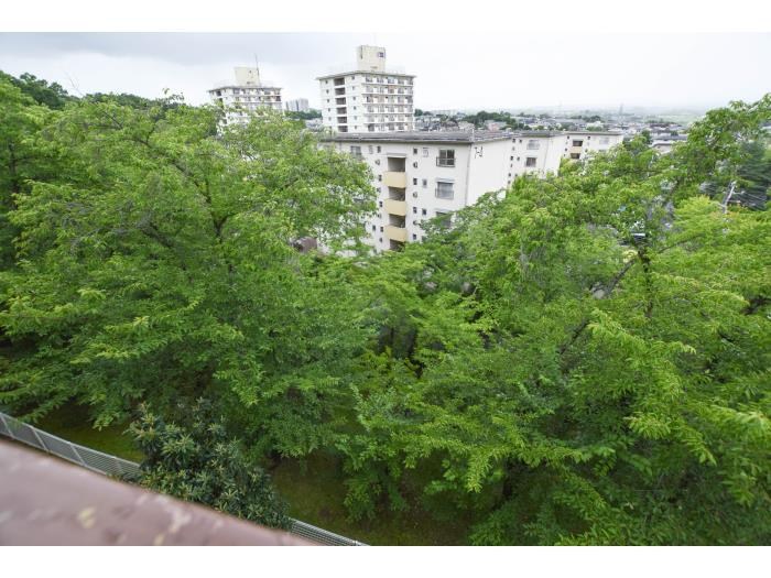 UR泉北茶山台二丁団地3棟  その他6