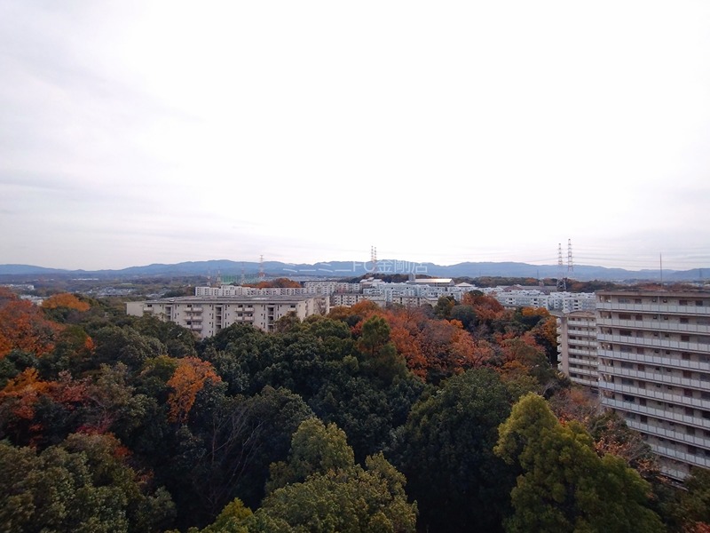 堺・泉北光明池城山公園シンシア その他6