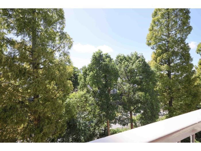 ＵＲ金剛団地　5号棟  その他6