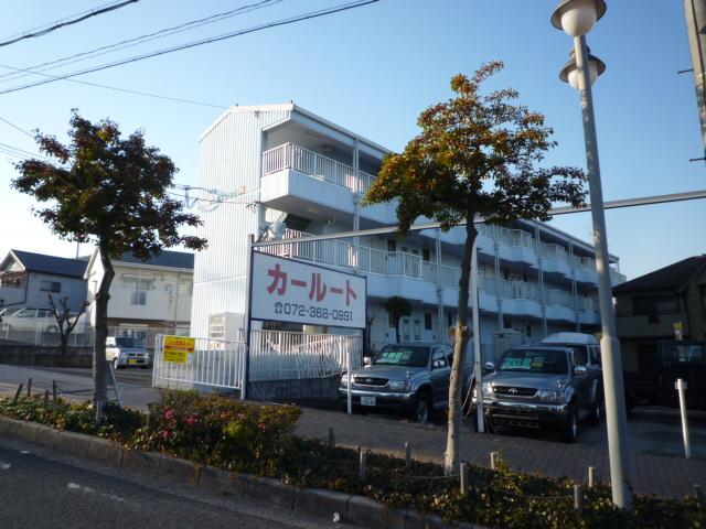 バイオレット輝 その他外観3