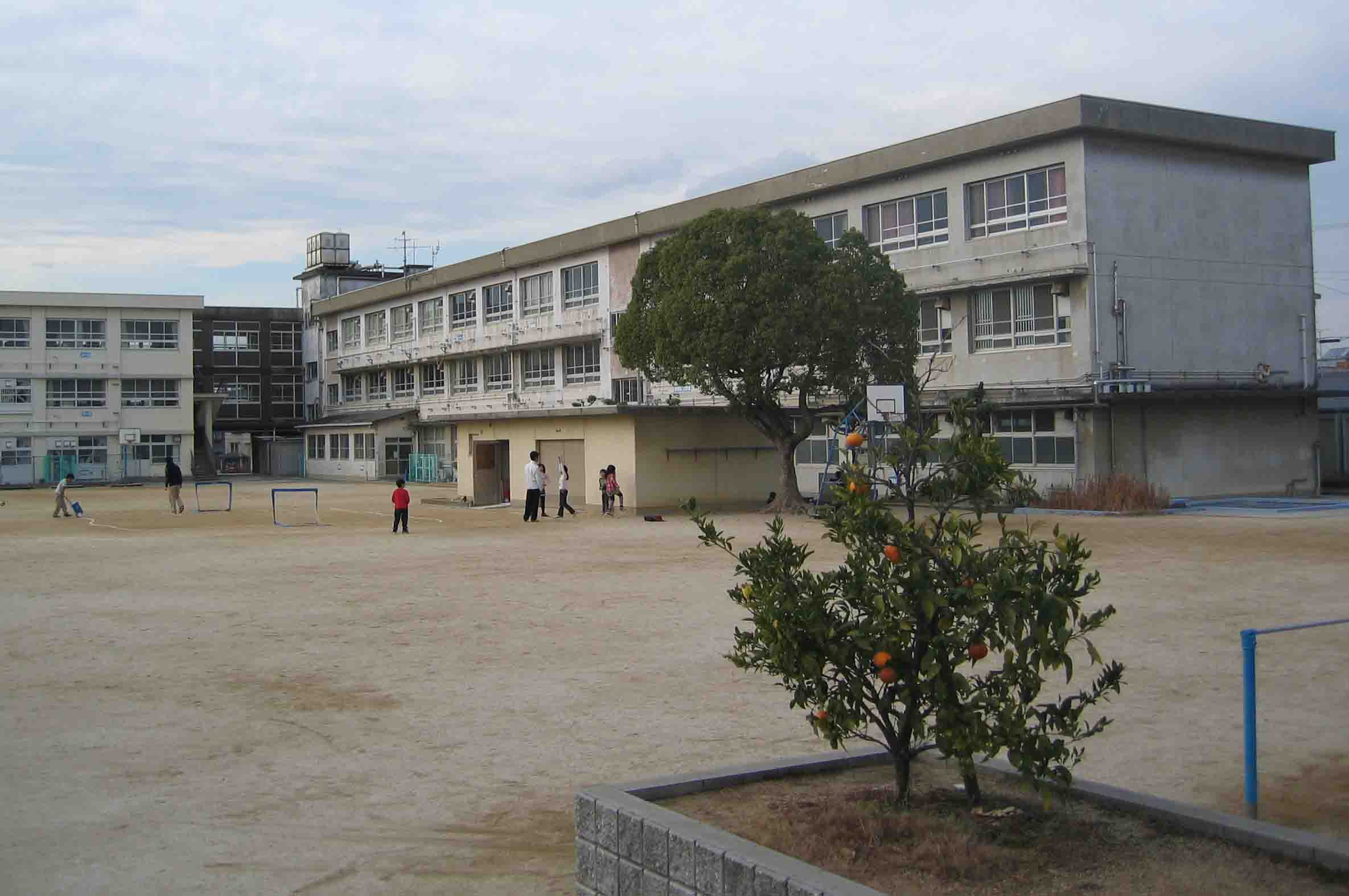 上野芝向ヶ丘町4丁戸建 周辺画像5