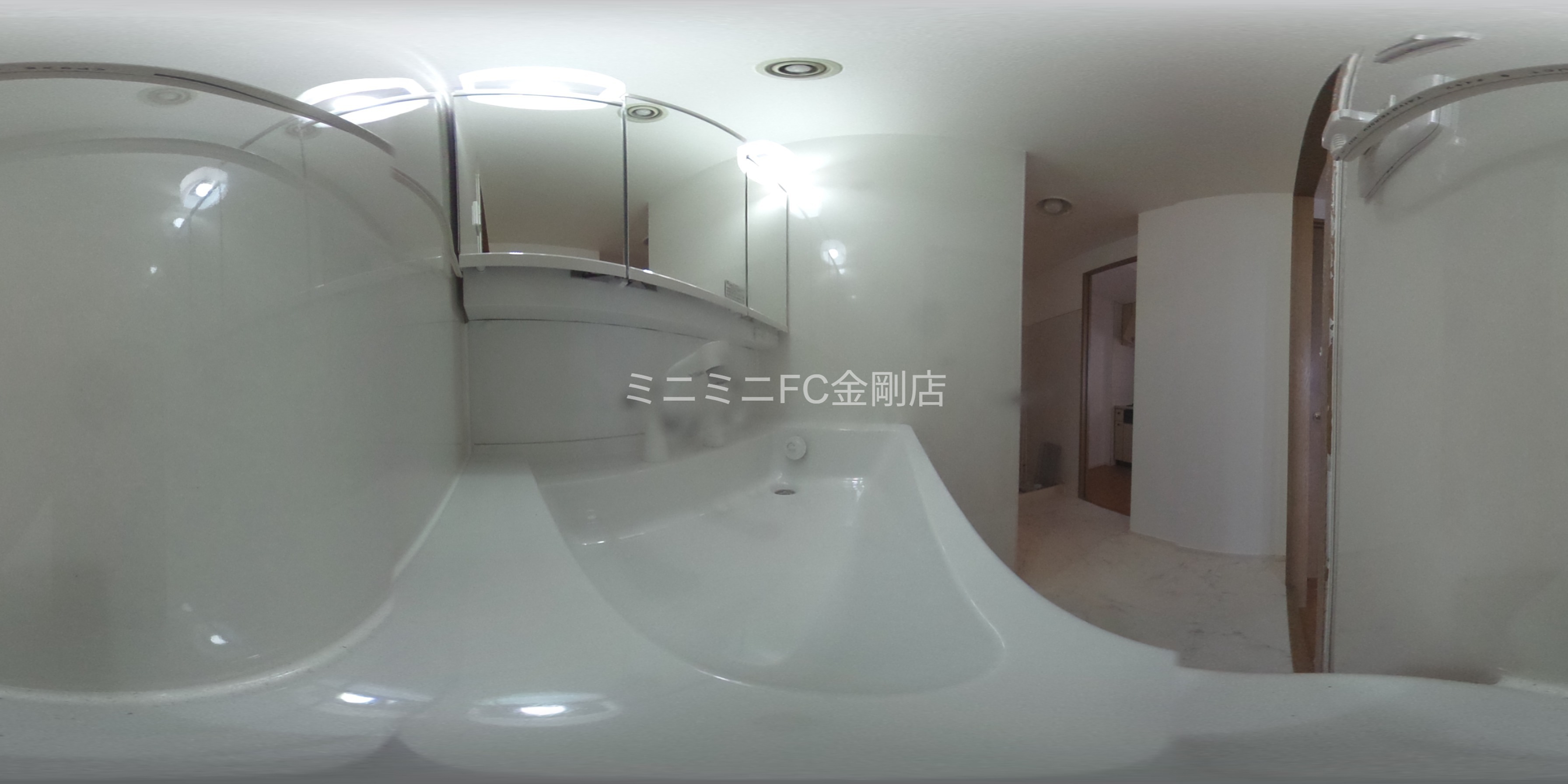 南海グリーンコート泉北深井 洗面所