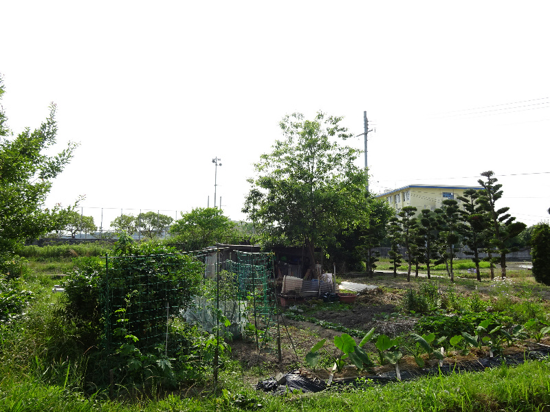 YU参番館 その他5