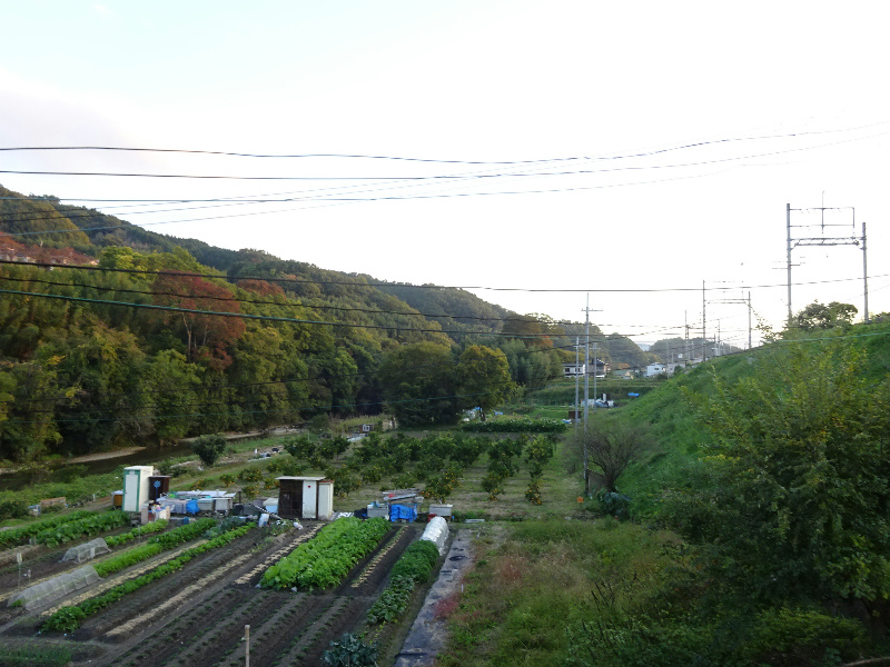 向野町貸家  その他2