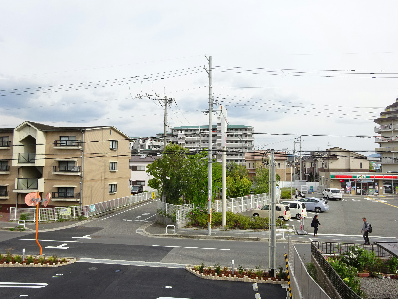 クリサンテーモ その他1