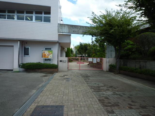 ピアコート壱番館 周辺画像5
