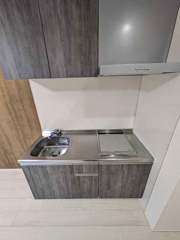 フジパレス北野田Ⅲ キッチン