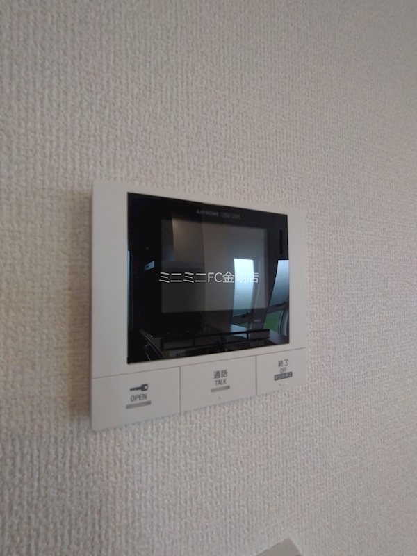 クレマチス その他12