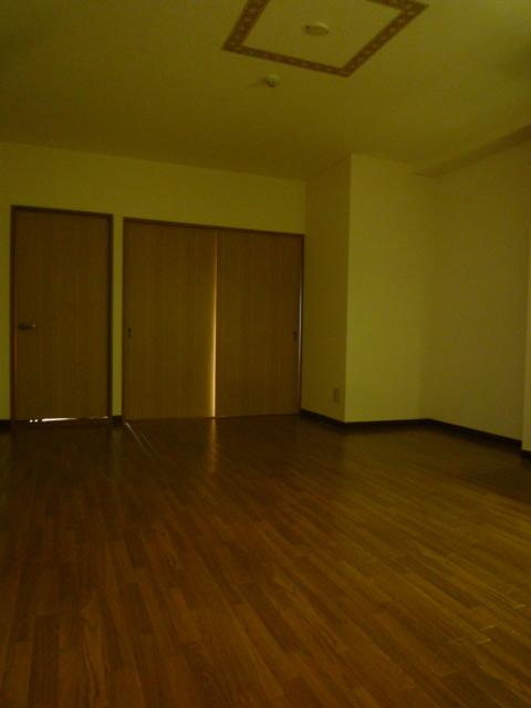 アレーゼF その他14