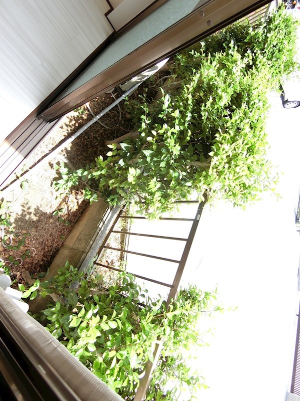 コスモハイツエコー ベランダ