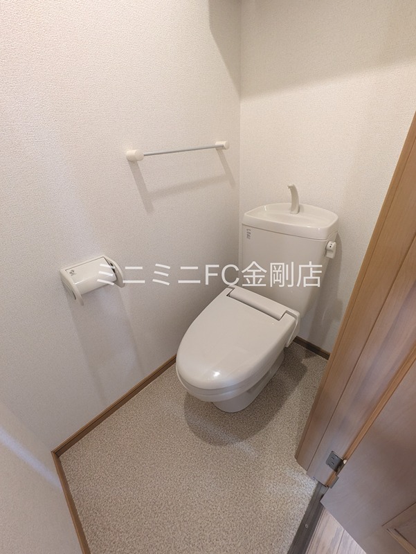 ヴィオラ その他1