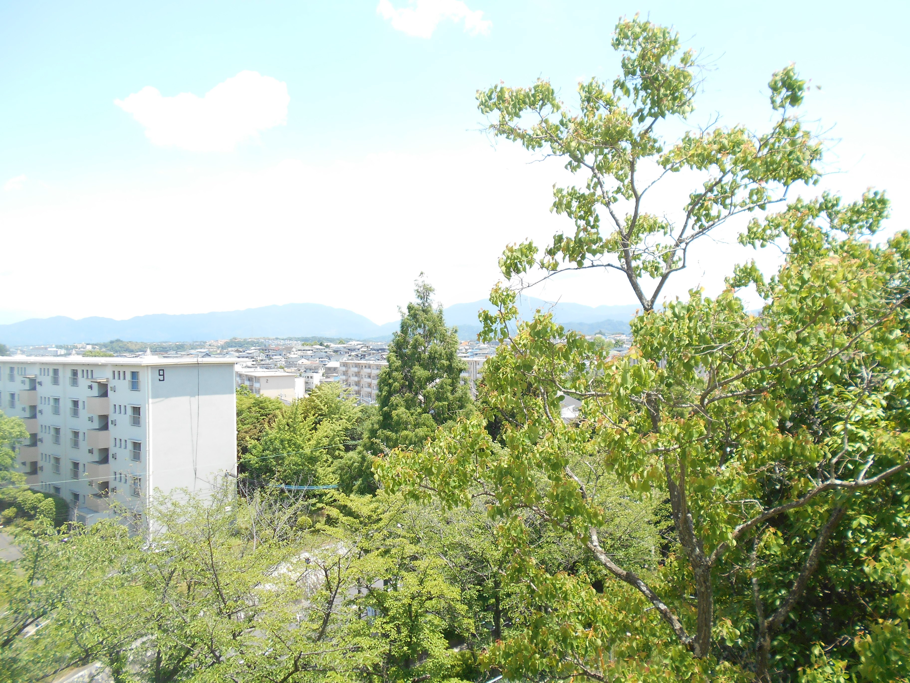 公団狭山住宅11号棟 その他外観2