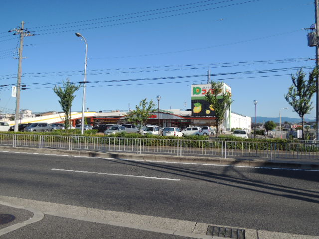 フジパレス戸建賃貸八田北町 周辺画像1
