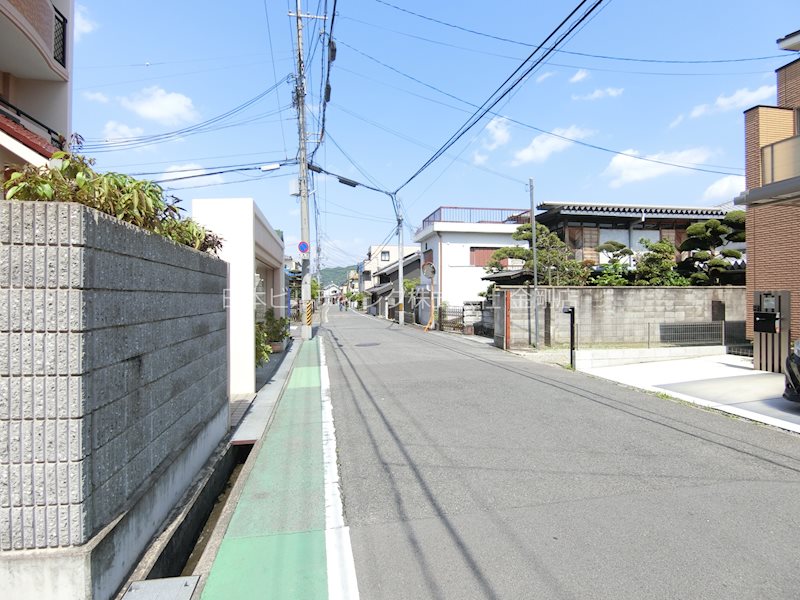 ホワイトロートス その他