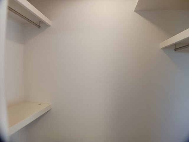 エヌ　プラス その他1