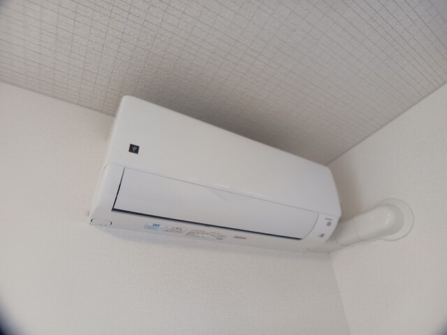 エヌ　プラス その他4