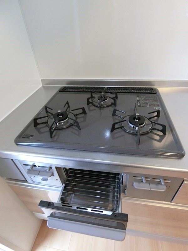 ディーモンテ深井沢町 その他14