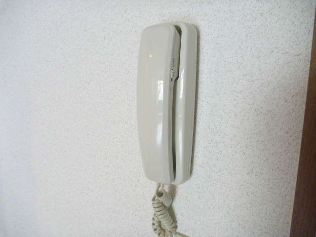 ドルフコート  その他5