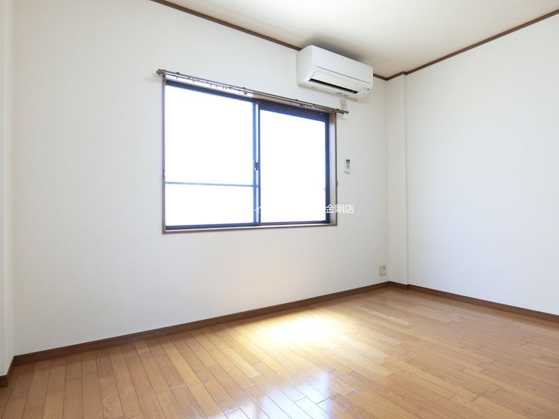 アムール　もみの木 その他10