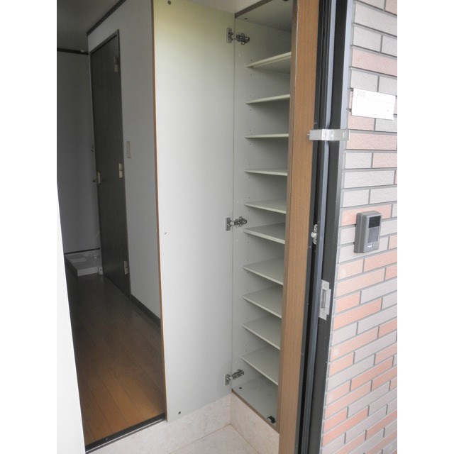 アムール　もみの木 その他12