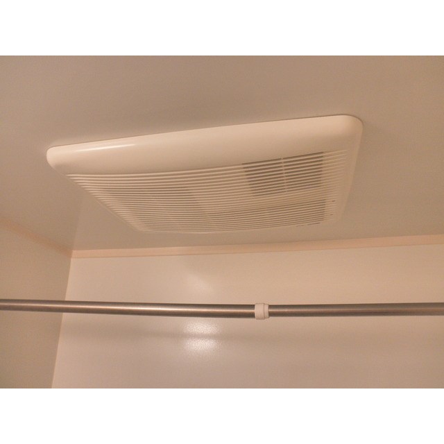 アムール　もみの木 その他16