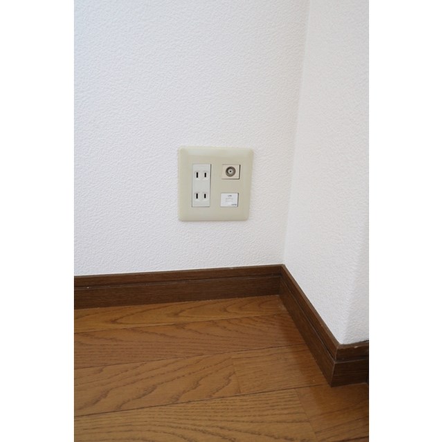 アムール　もみの木 その他17