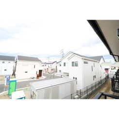 アムール　もみの木 その他20