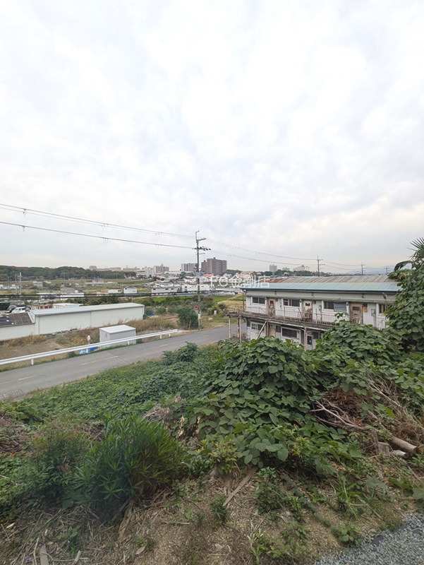 檜尾貸戸建 その他6